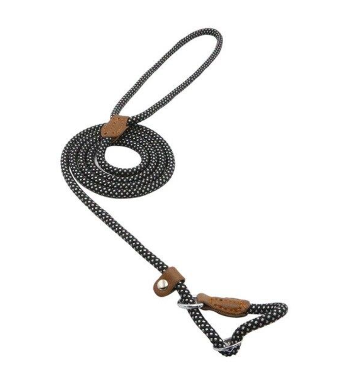 Durable Nylon Dog Collar Set for Stylish Adventures