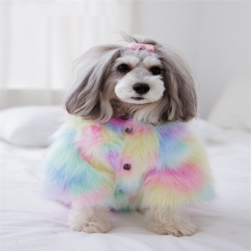 Colorful Pet Winter Coat – Rainbow Little Monster Jacket