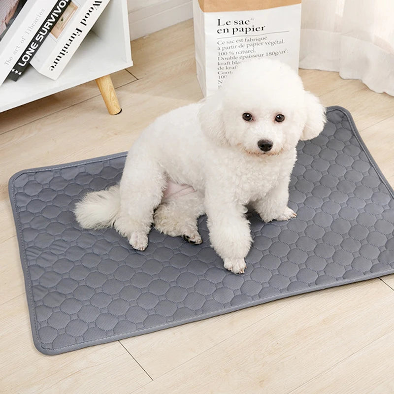 Ultimate Washable Reusable Pet Pee Pad for a Clean and Cozy Home