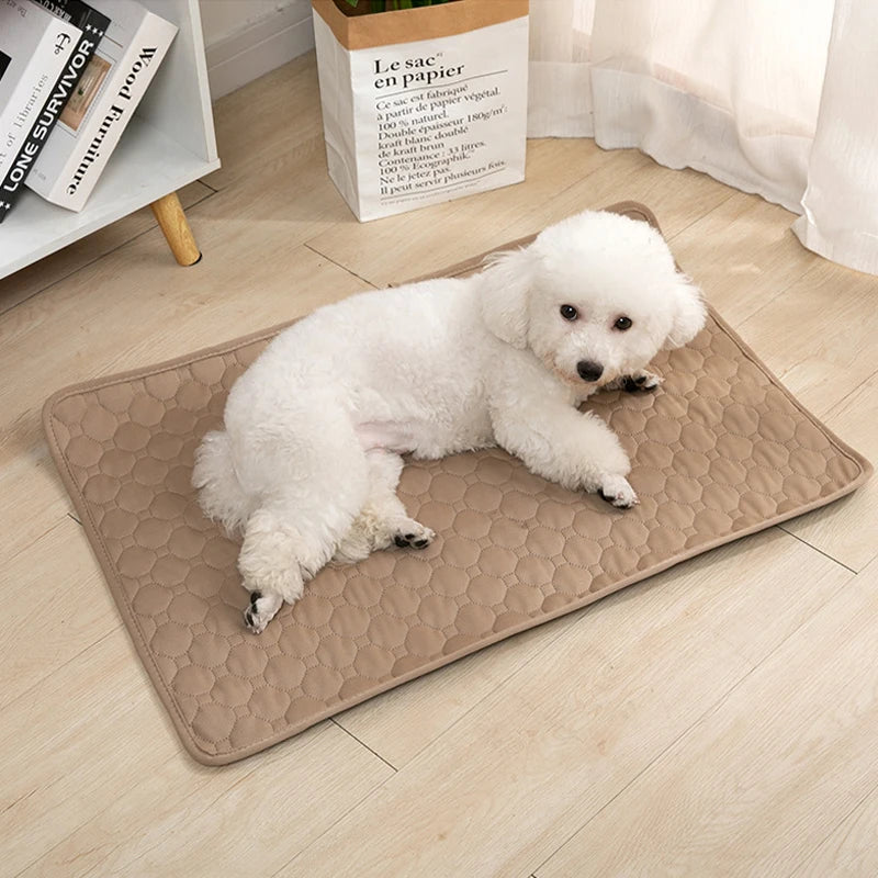 Ultimate Washable Reusable Pet Pee Pad for a Clean and Cozy Home