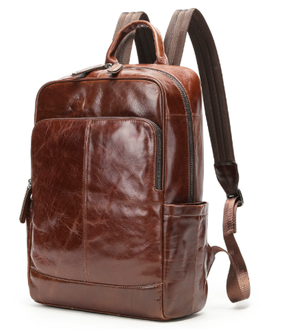 Laptop Backpack for Work, School and Travel