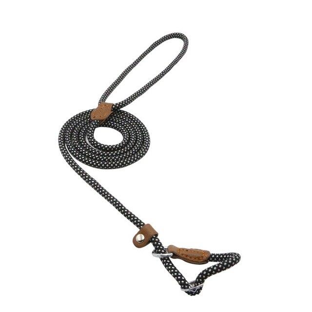 Durable Nylon Dog Collar Set for Stylish Adventures