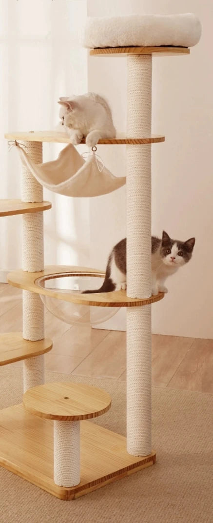 Cat Climbing Frame