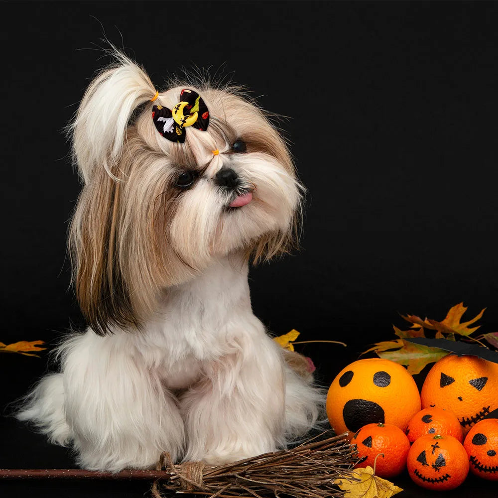 10/20PCS Halloween Pet Dog Hair Bows – Spooky Style for Your Furry Friends
