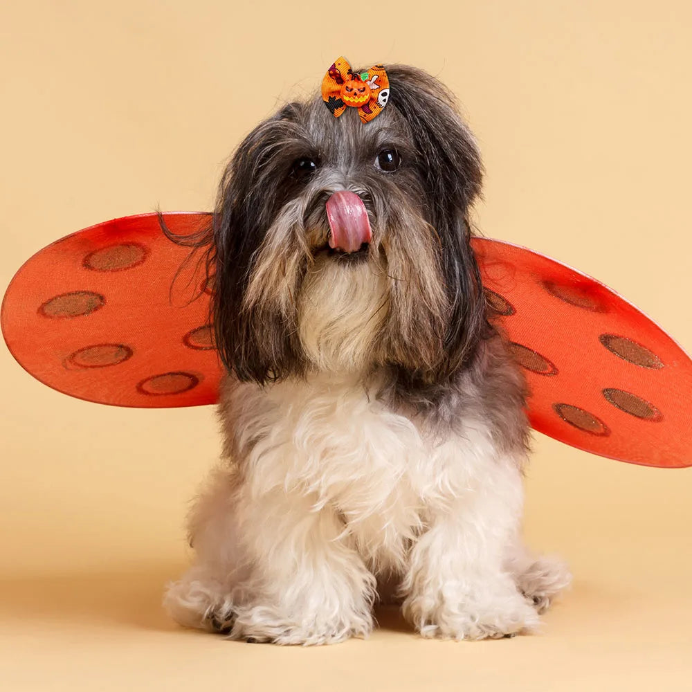 10/20PCS Halloween Pet Dog Hair Bows – Spooky Style for Your Furry Friends